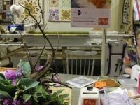 ZOMERFAIR 2011 006.jpg